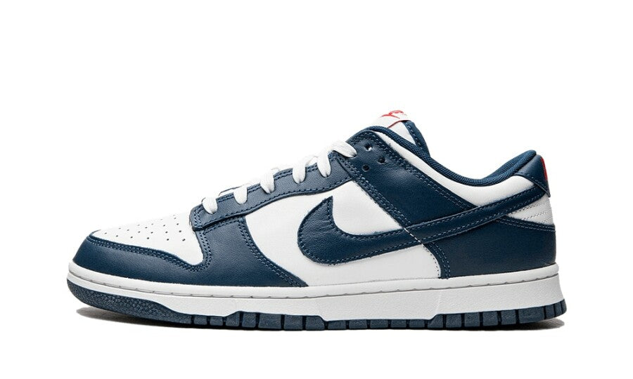 Nike Dunk Low Valerian Blue 