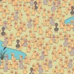 Hádanka pro zábavné a vynalézavé: musíte najít kuře za 7