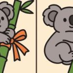 Super IQ test: najděte 3 rozdíly na obrázku koaly za