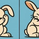 Super IQ test: najděte 3 rozdíly na obrázku králíka za