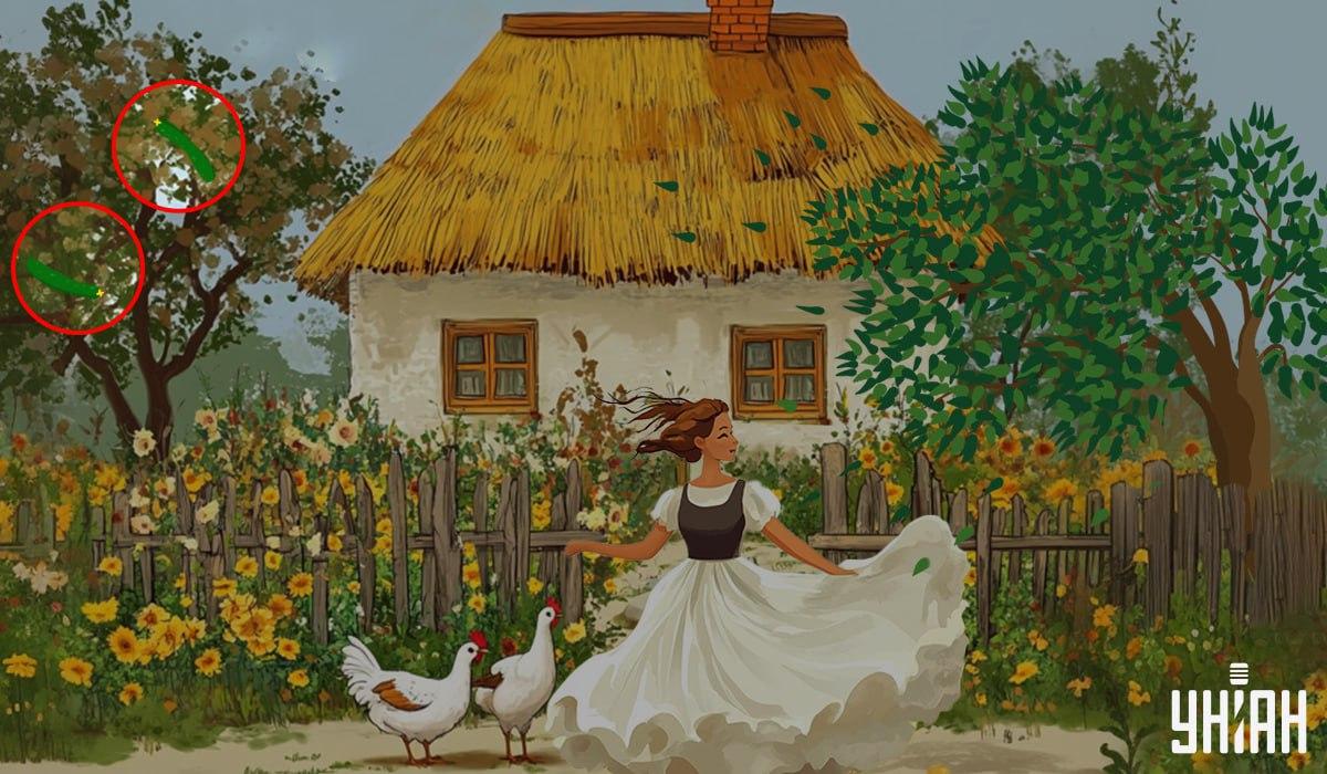 odpověď / foto Moje