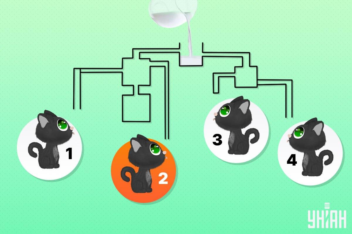 Šťastná kočka měla číslo 2 / koláž Moje