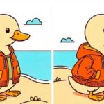 IQ test: najděte 3 rozdíly na obrázku kachny v bundě