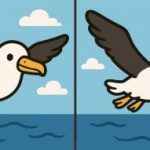 IQ test: najděte 3 rozdíly na obrázku letícího ptáka za 31 sekund IQ test: najděte 3 rozdíly na obrázku letícího ptáka za