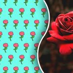 Jen génius by našel podivnou růži za 5 sekund: hádanka,