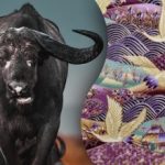 Najdi býka na obrázku za 15 sekund: hádanka pro ty