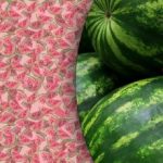 Úžasný optický klam: jen málokdo najde speciální meloun za 10